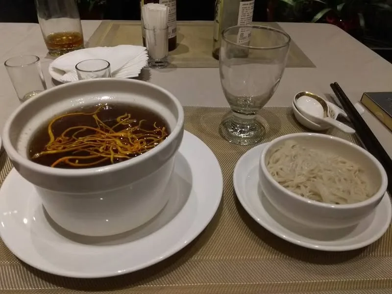 台北 慕求 冬蟲夏草 餐廳 (2訪) (永久歇業)