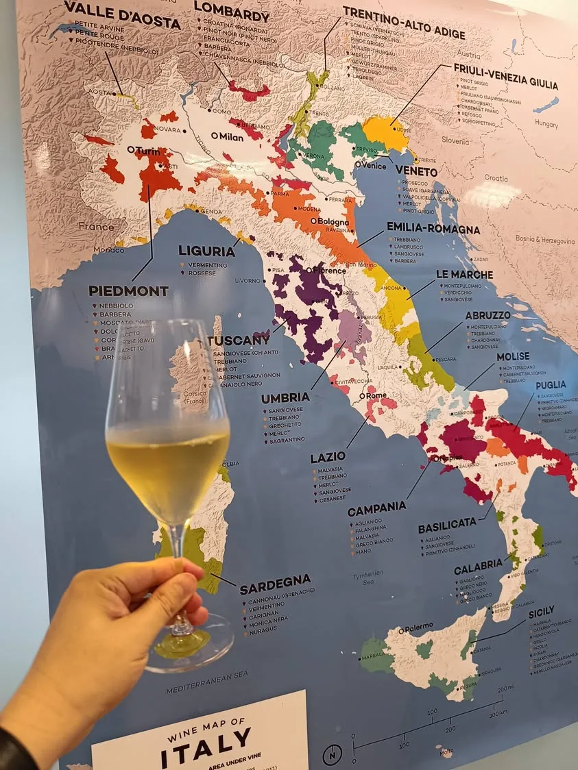Taipei Songshan District TESORO Italian Wine