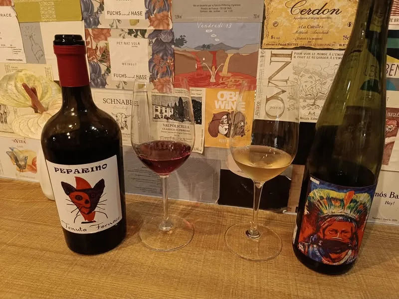 台北 汀州路 燕子愛紅酒