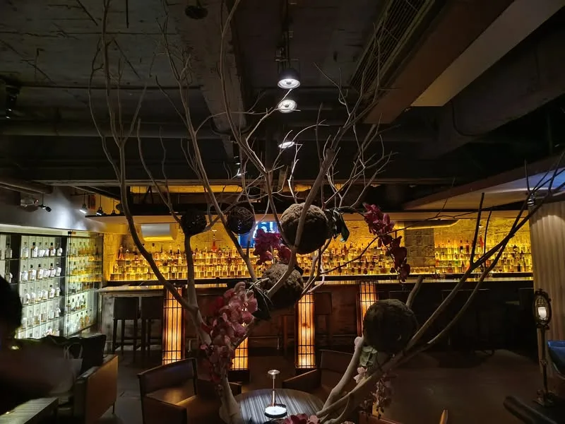 台北 異塵CELLAR LOUNGE BAR