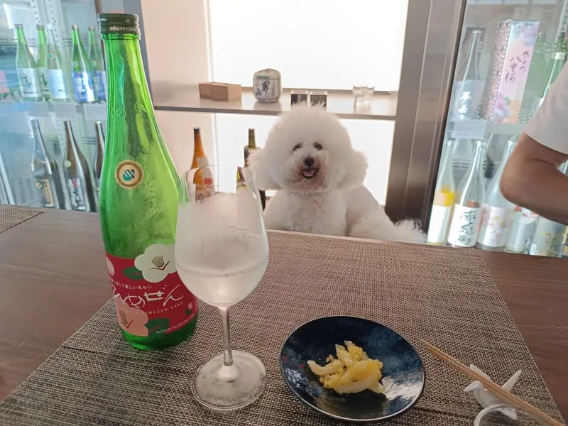 台北 大安區 羽Sake