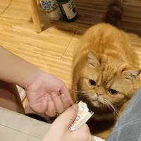 台北 安和路 春未來 Sake Bar 照片 1