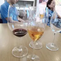 澄花商店 (2번째 방문) — 타이베이 4