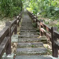 雲林 草嶺一日遊