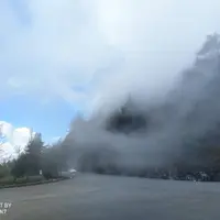 台中 大雪山 國家森林遊樂區