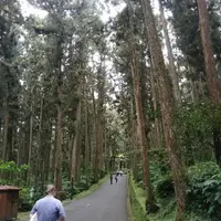 南投 溪頭風景區