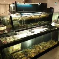 台中 永豐棧 阿利海產 & 金典12F 牛排館酒吧