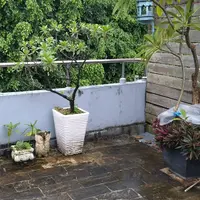 台北 逸仙路 王鍋屋 京都酸白菜鍋專門店 照片 1