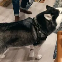 Tickle my fantasy酒吧 照片 1