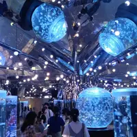 新北 林口 盧卡 義大利料理、桃園青埔 Xpark 水族館