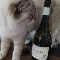 台中 黎明路 弘川藏酒閣