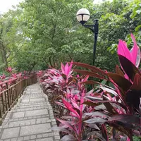 台北 松山區 芳朵麻辣鍋 (改為 沐澄螺螄粉鴛鴦鍋) 照片 2