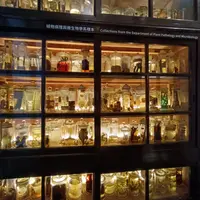 台北 松山區 芳朵麻辣鍋 (改為 沐澄螺螄粉鴛鴦鍋) 照片 4