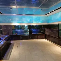 台北 復興南路 真的好海鮮餐廳 照片 6