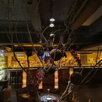 台北 異塵CELLAR LOUNGE BAR