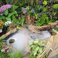 寶清街 黑馬小廚 (2訪) 照片 2