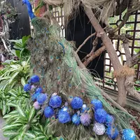 寶清街 黑馬小廚 (2訪) 照片 5