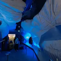 台北 松山區 Bar igloo 照片 2