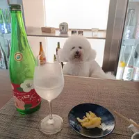 台北 大安區 羽Sake